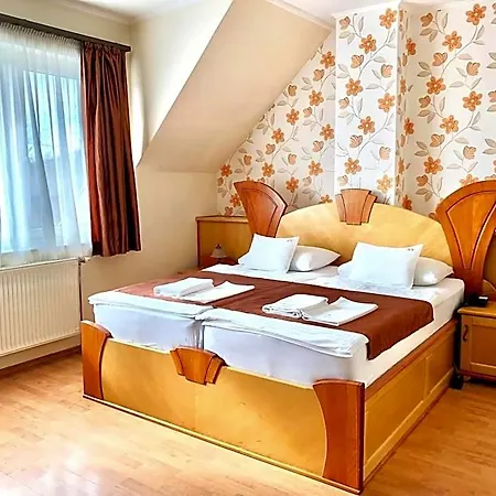 Het Vezer 3*